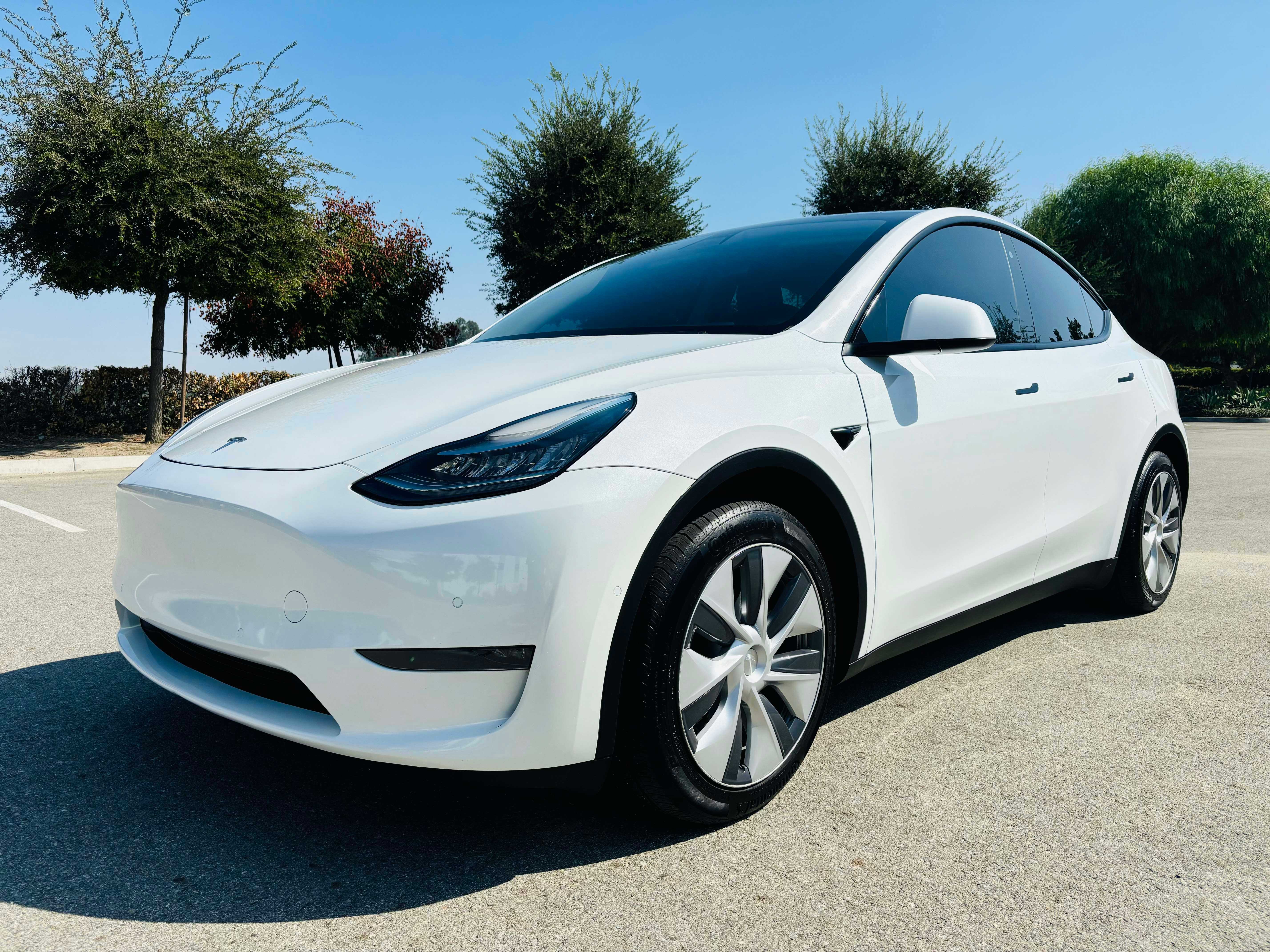 Tesla Model Y Image 1