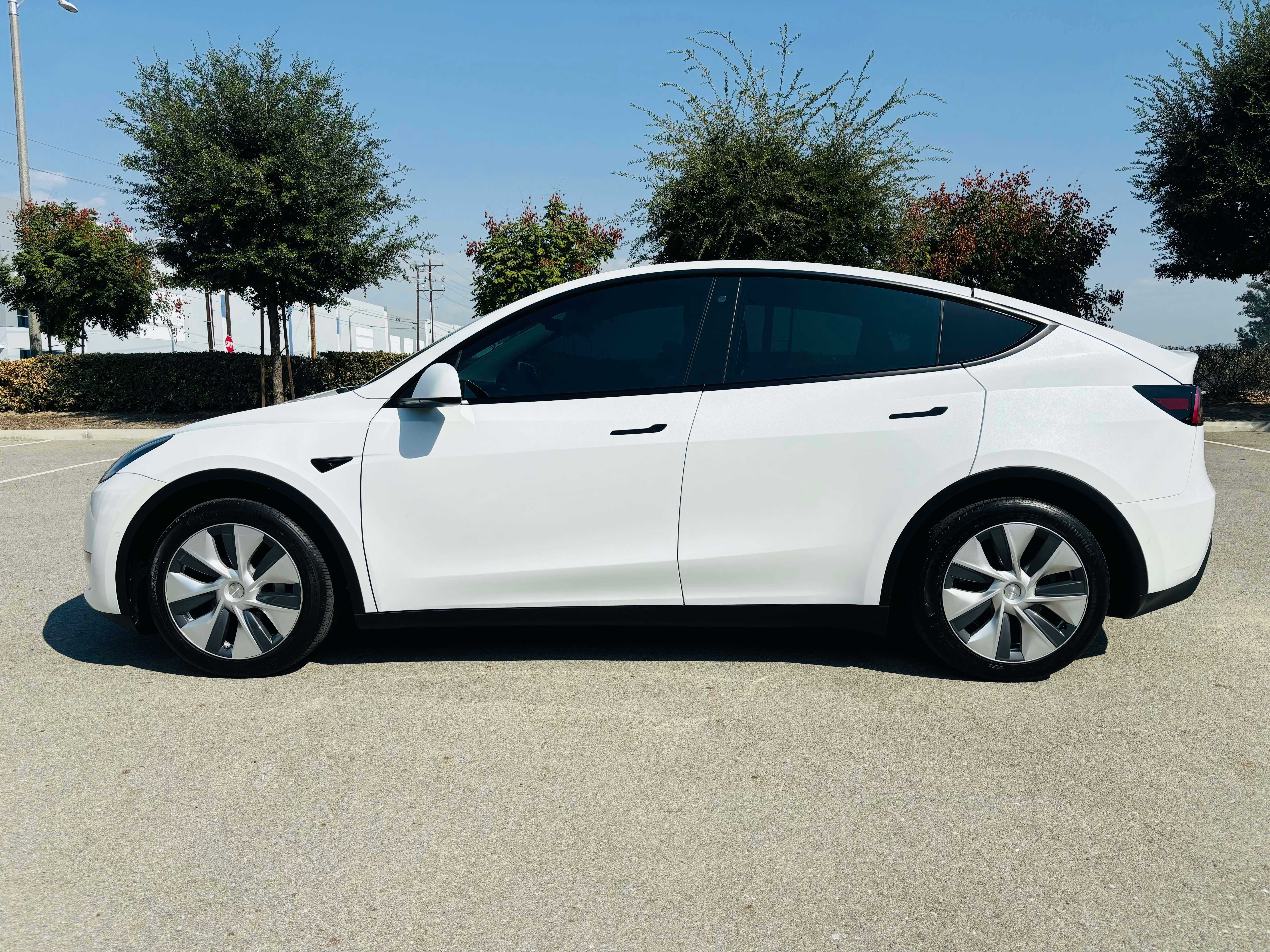 Tesla Model Y Image 8