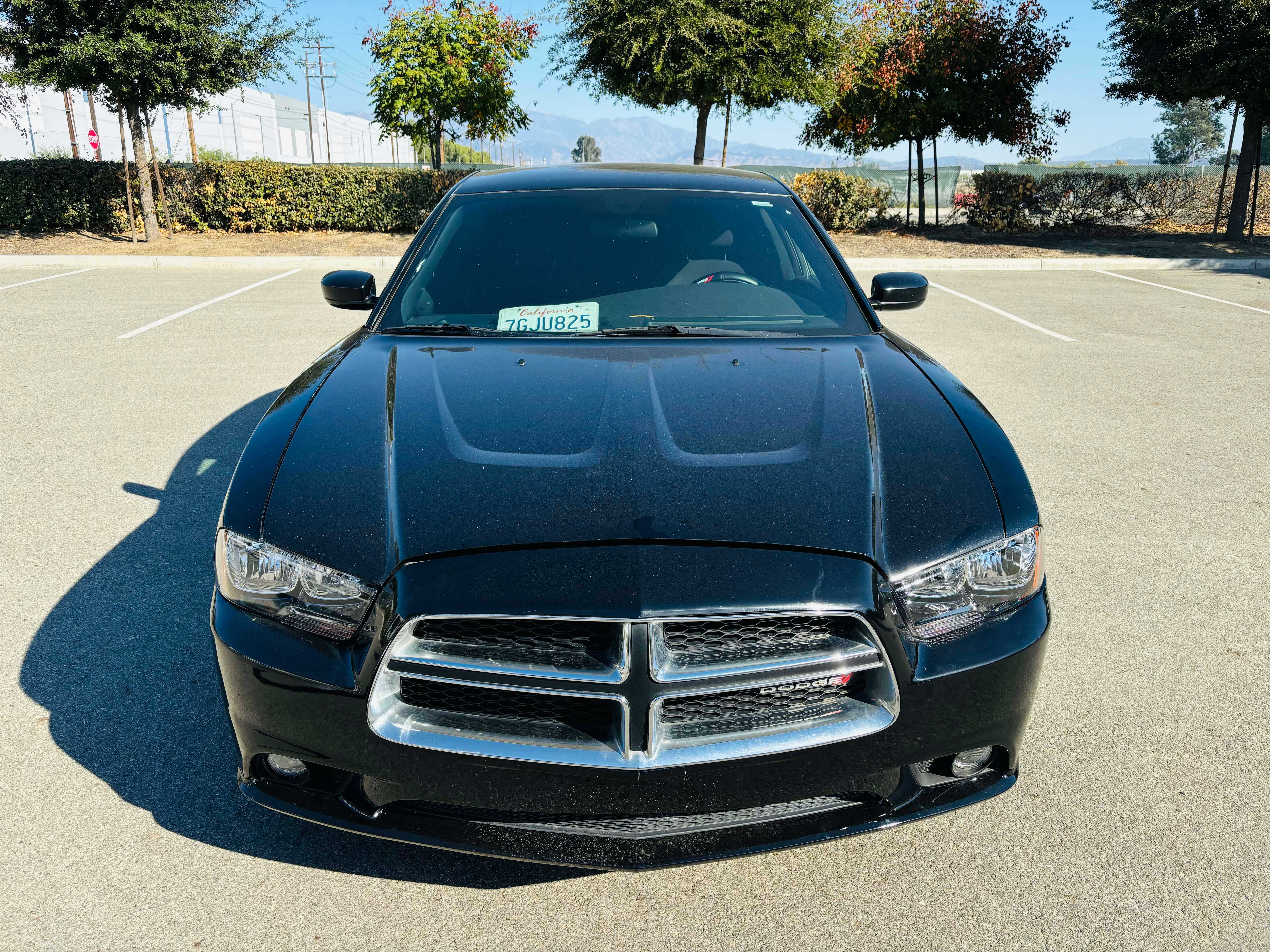 Dodge Charger Image 2