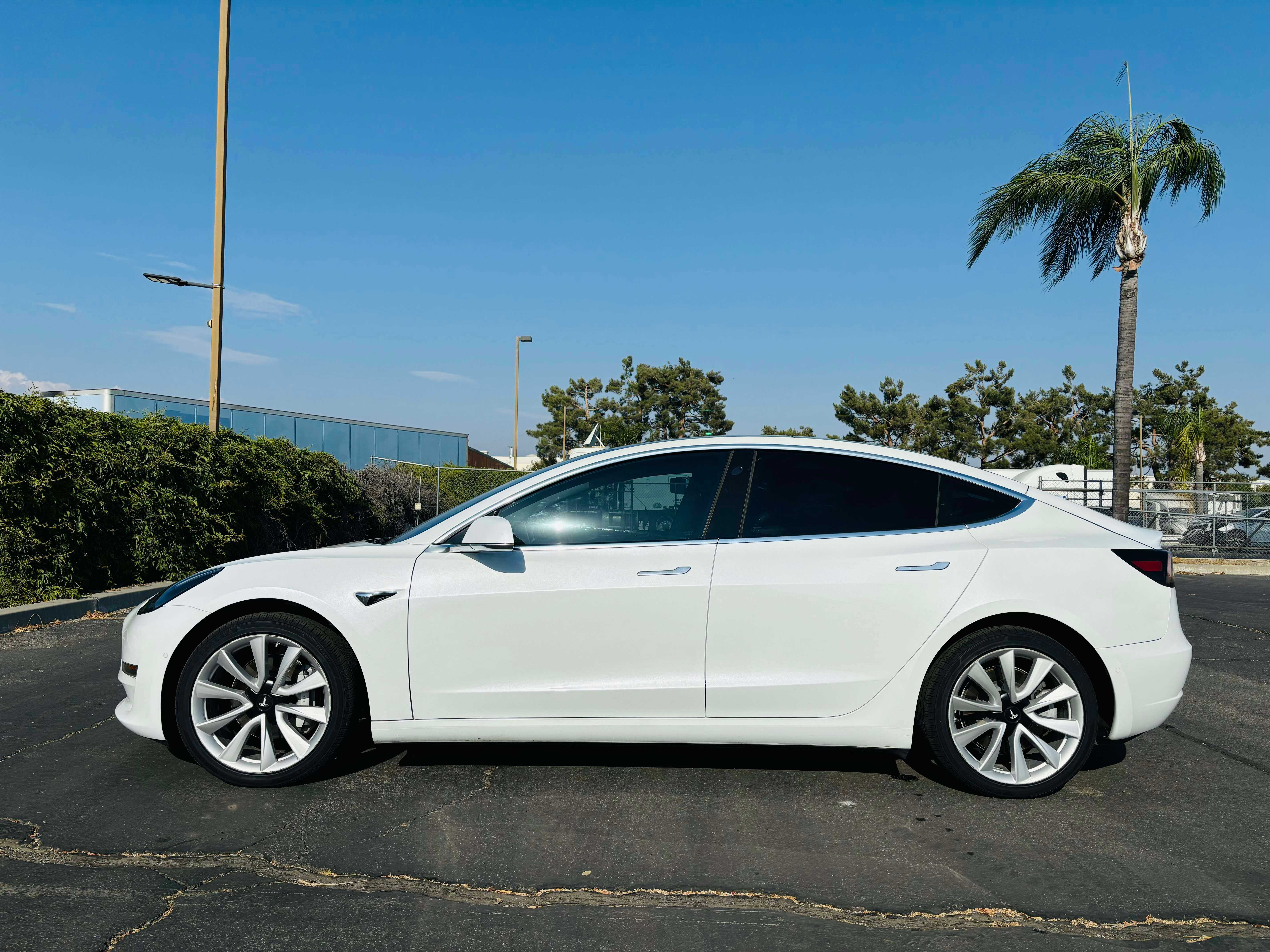 Tesla Model 3 Image 7