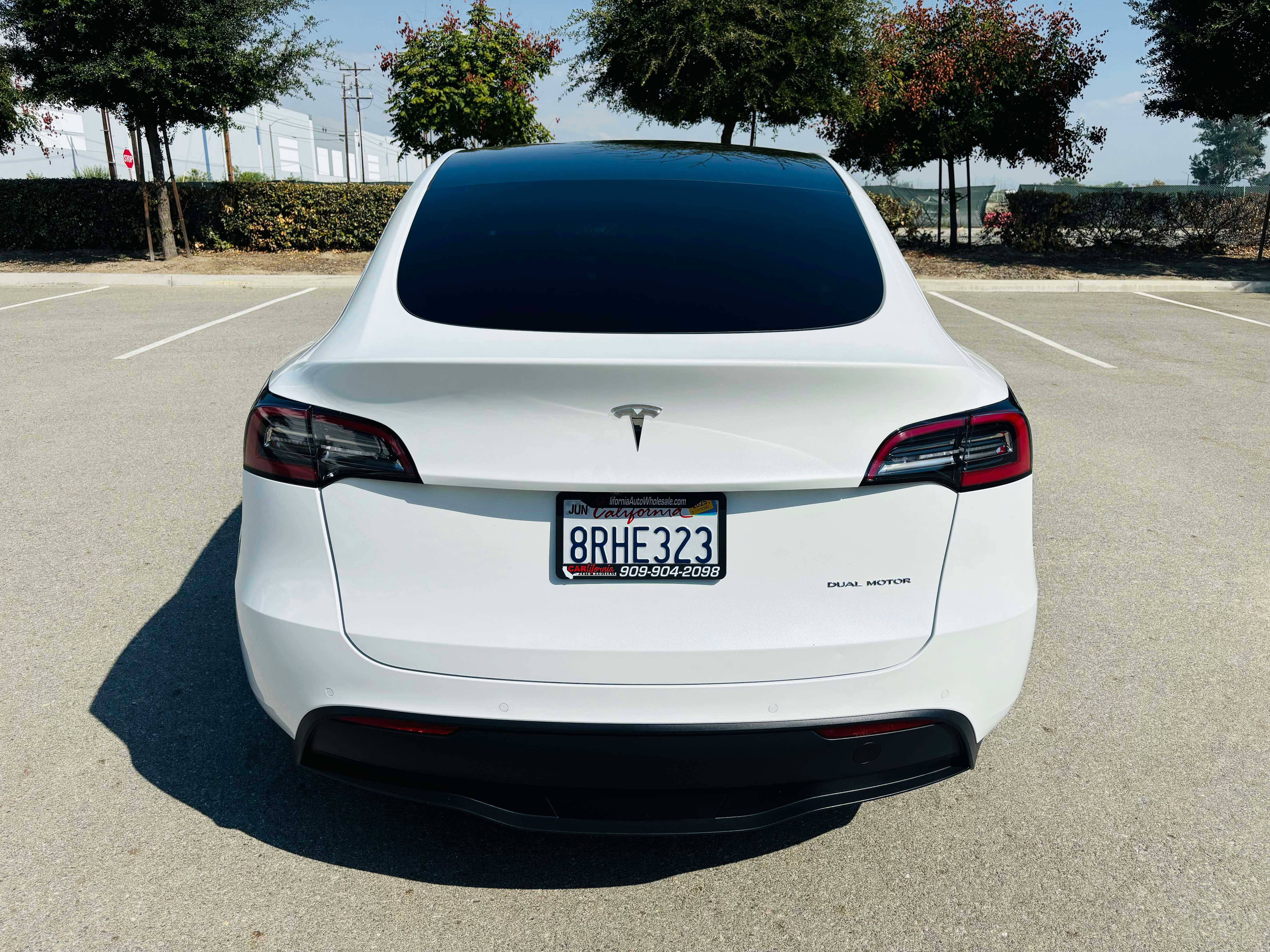 Tesla Model Y Image 6