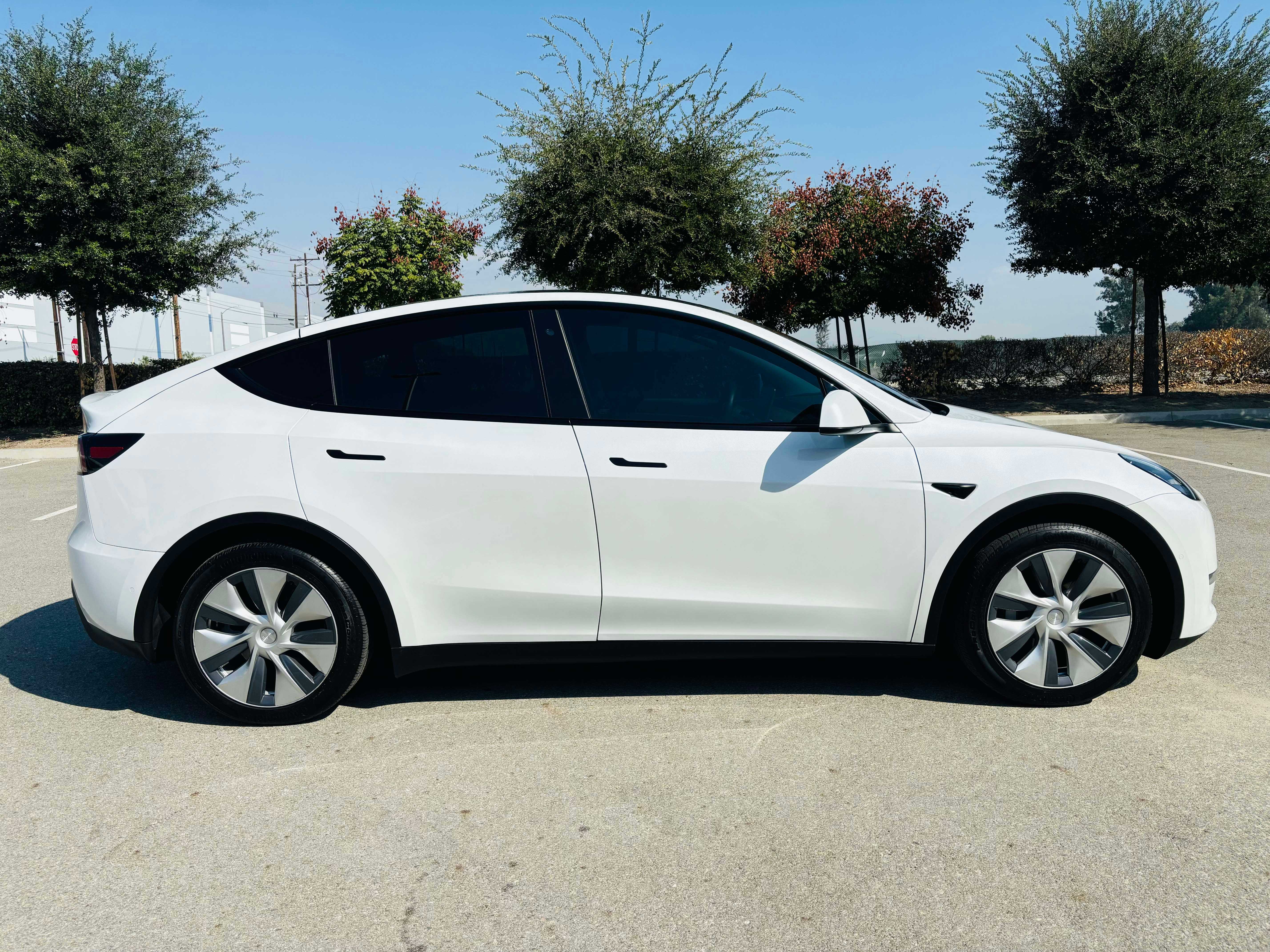 Tesla Model Y Image 4