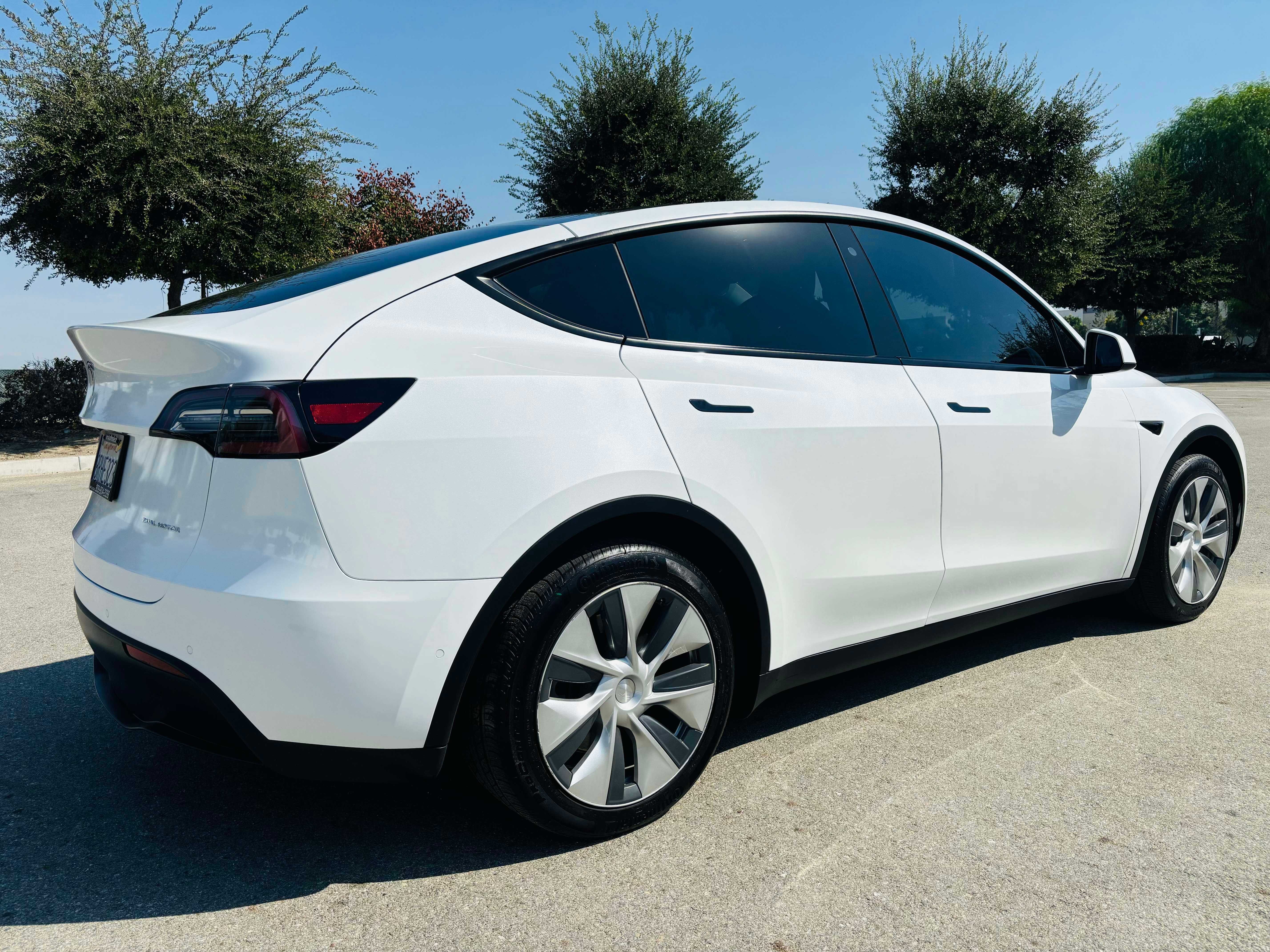 Tesla Model Y Image 5