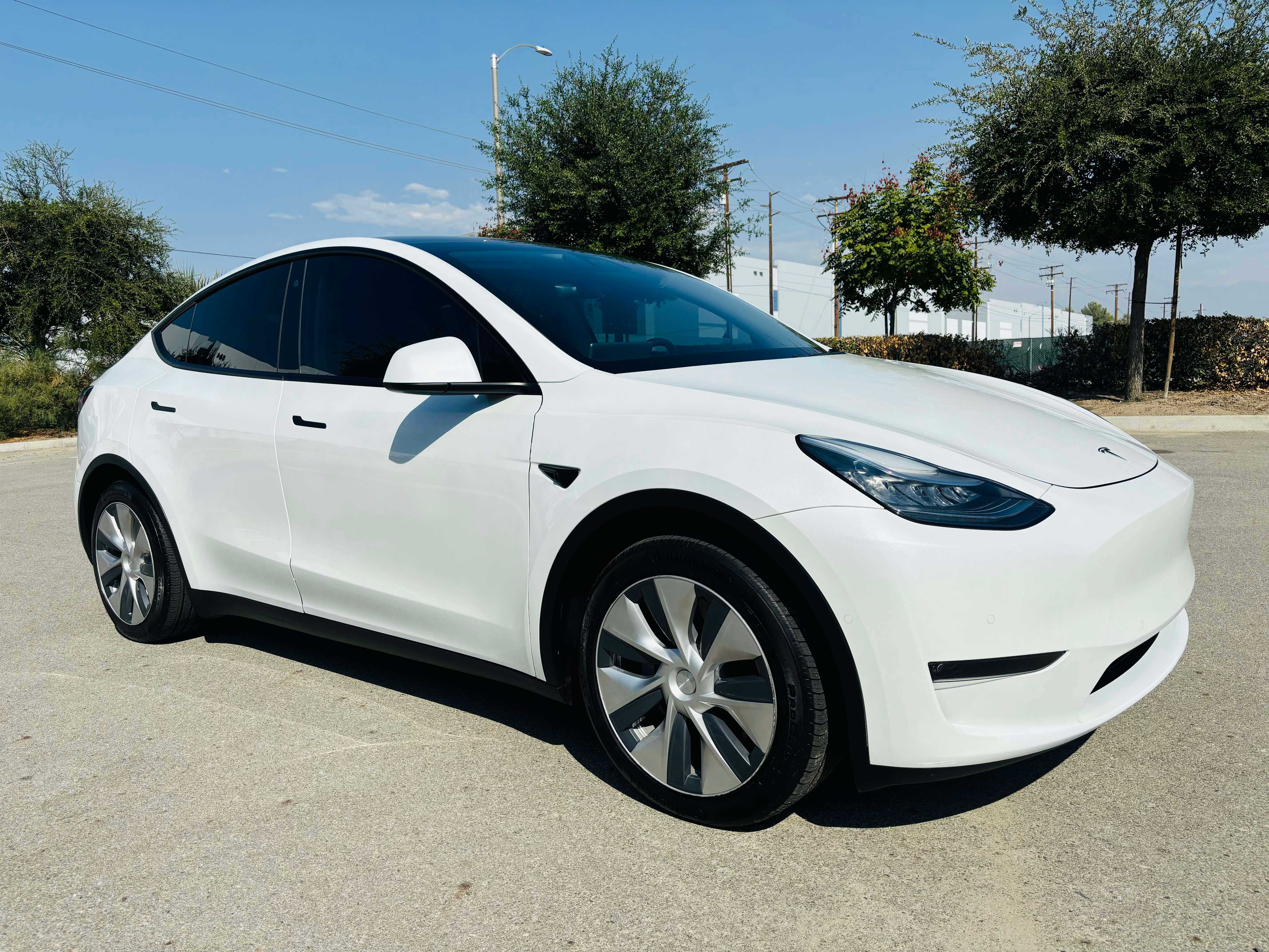 Tesla Model Y Image 3