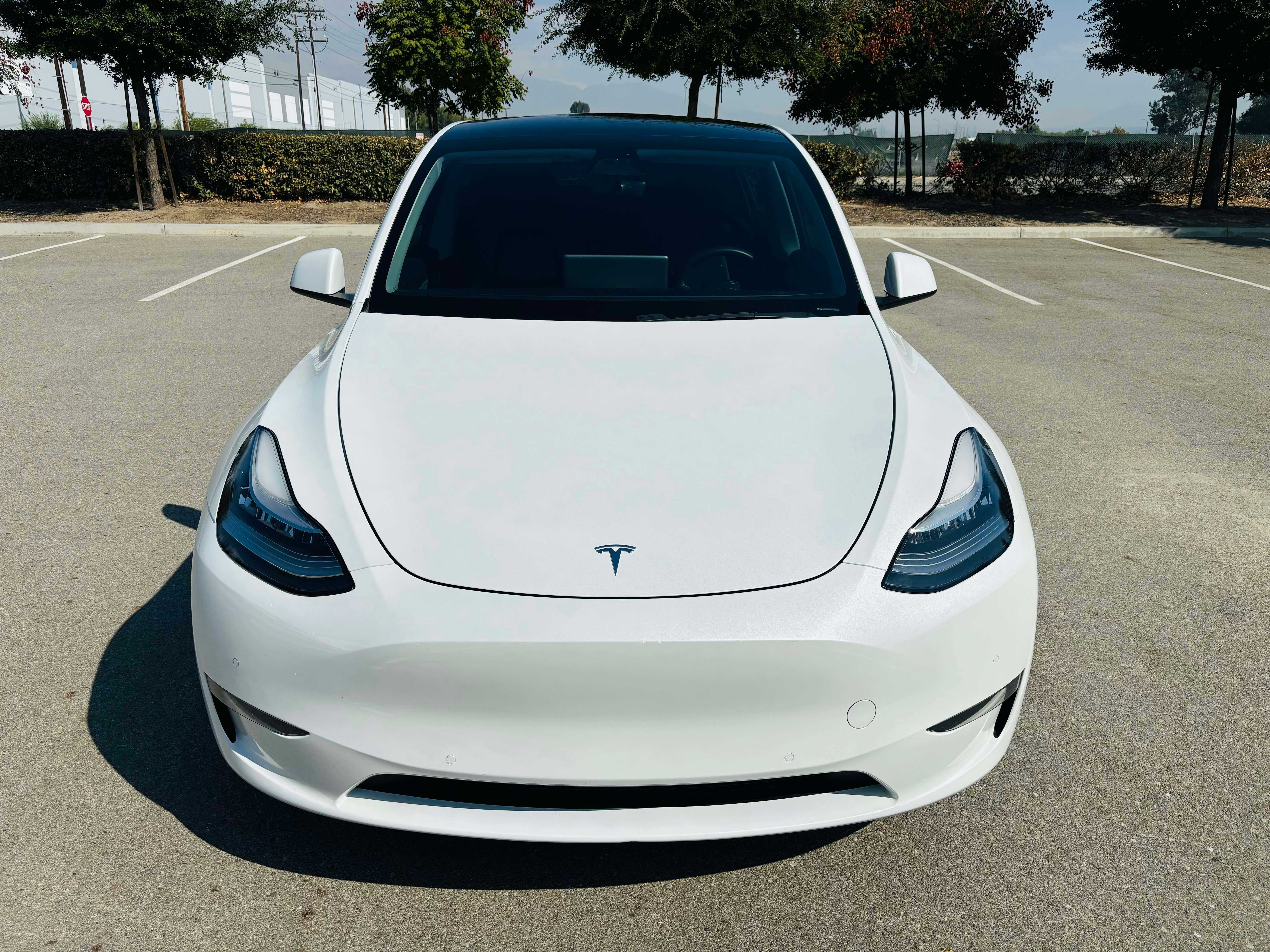 Tesla Model Y Image 2